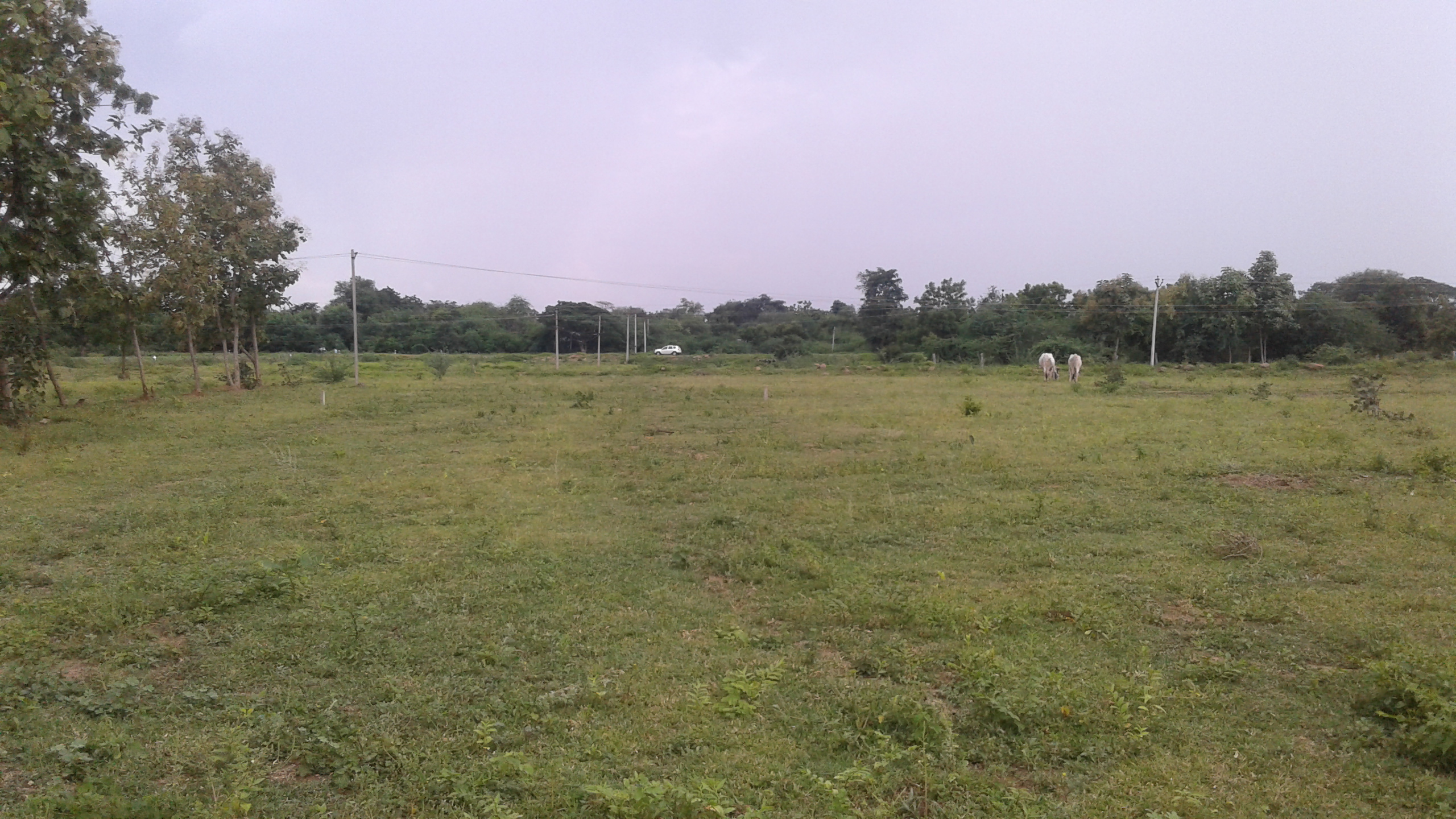 Kapil Homes Thorur Site Images