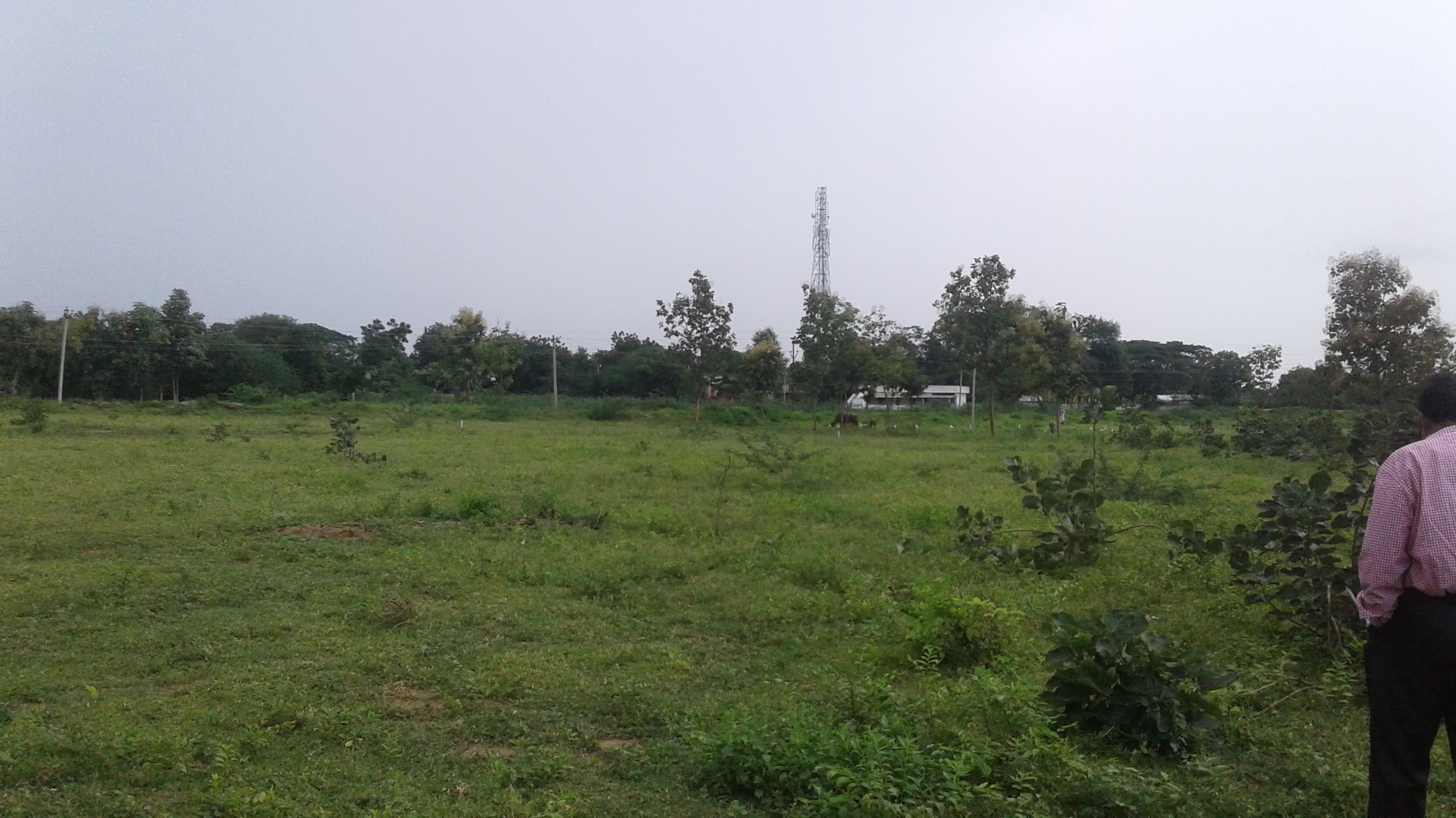Kapil Homes Thorur Site Images