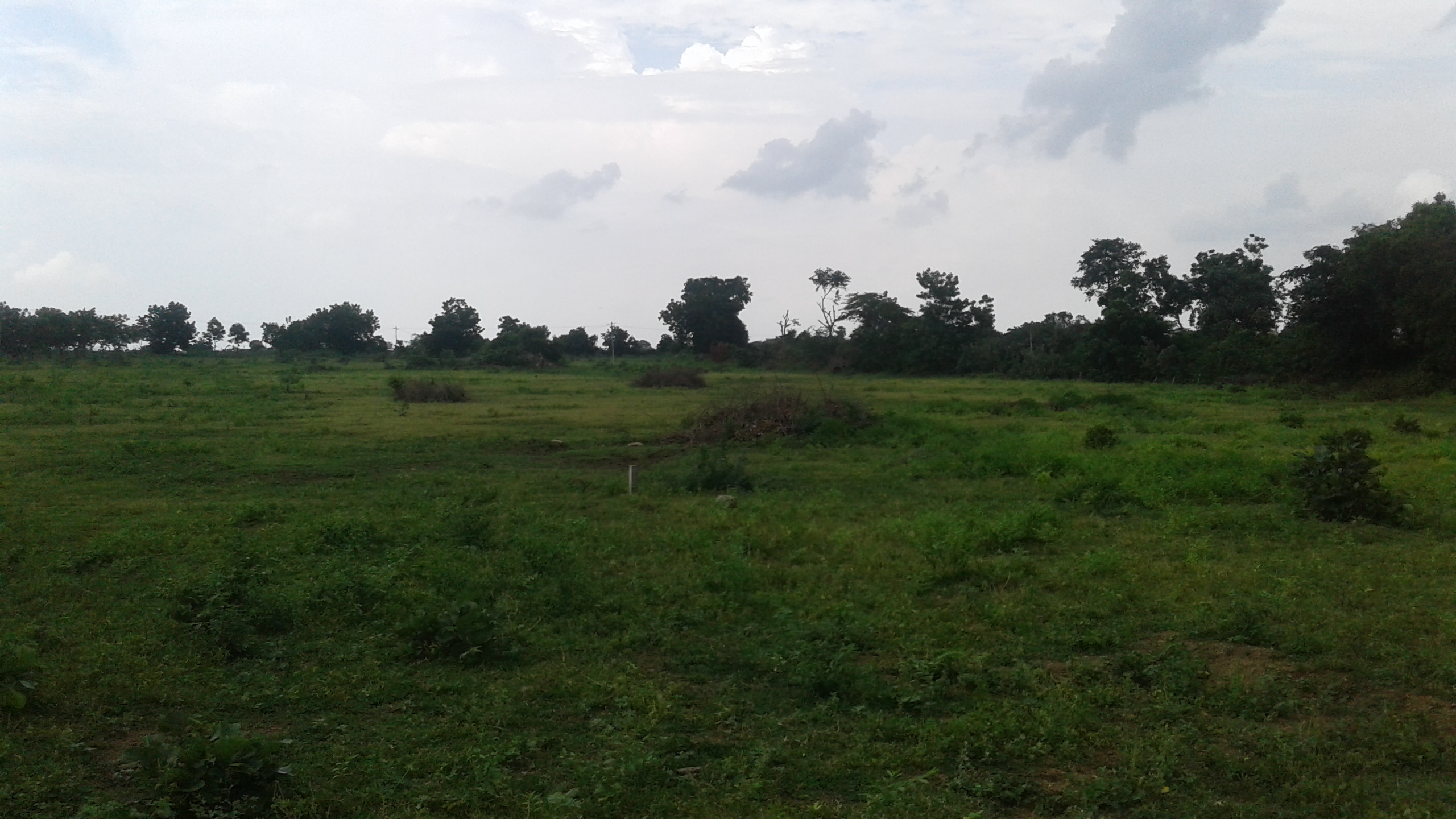 Kapil Homes Thorur Site Images