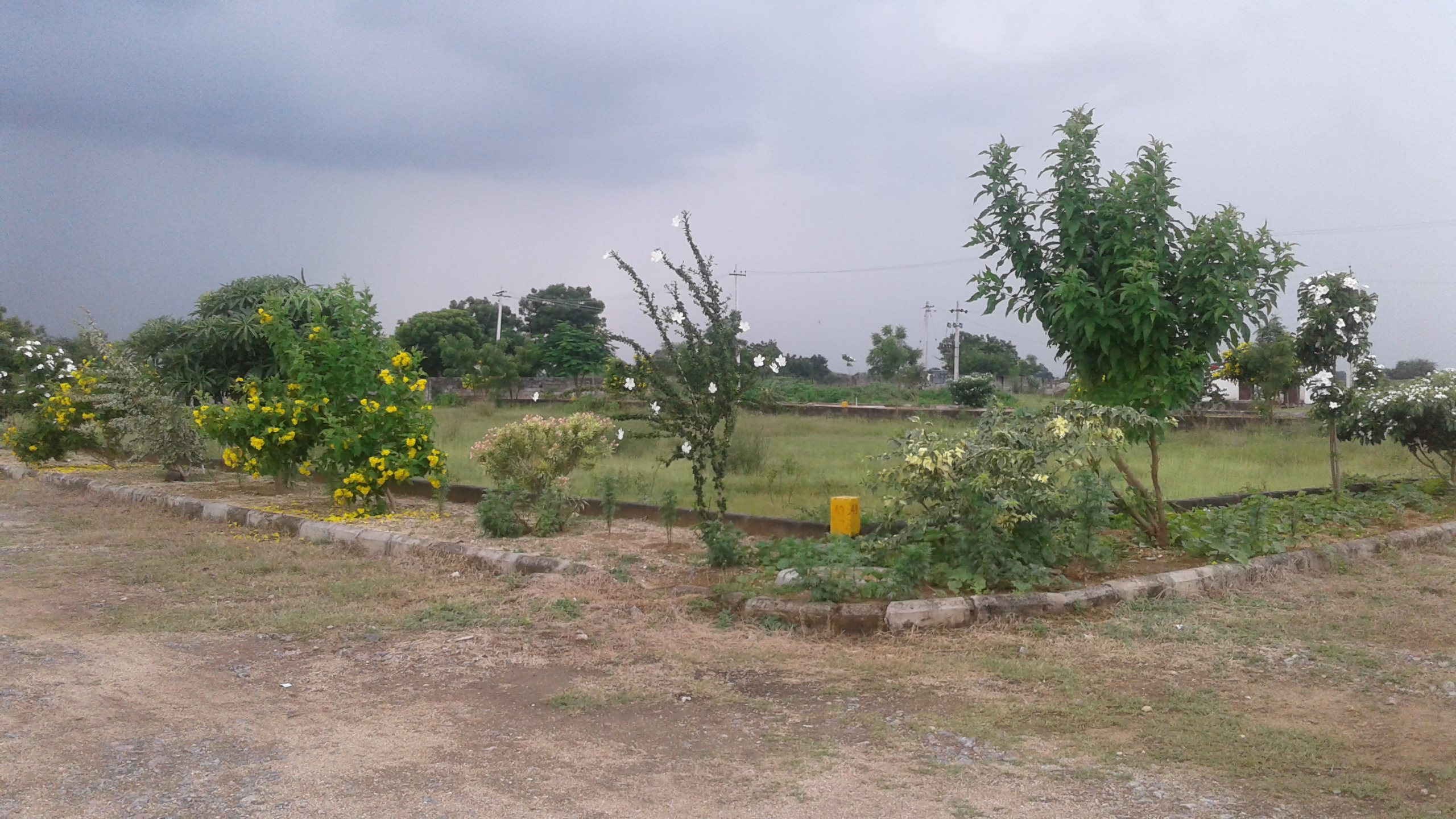 Kapil Homes Bhoopalpally Site Images