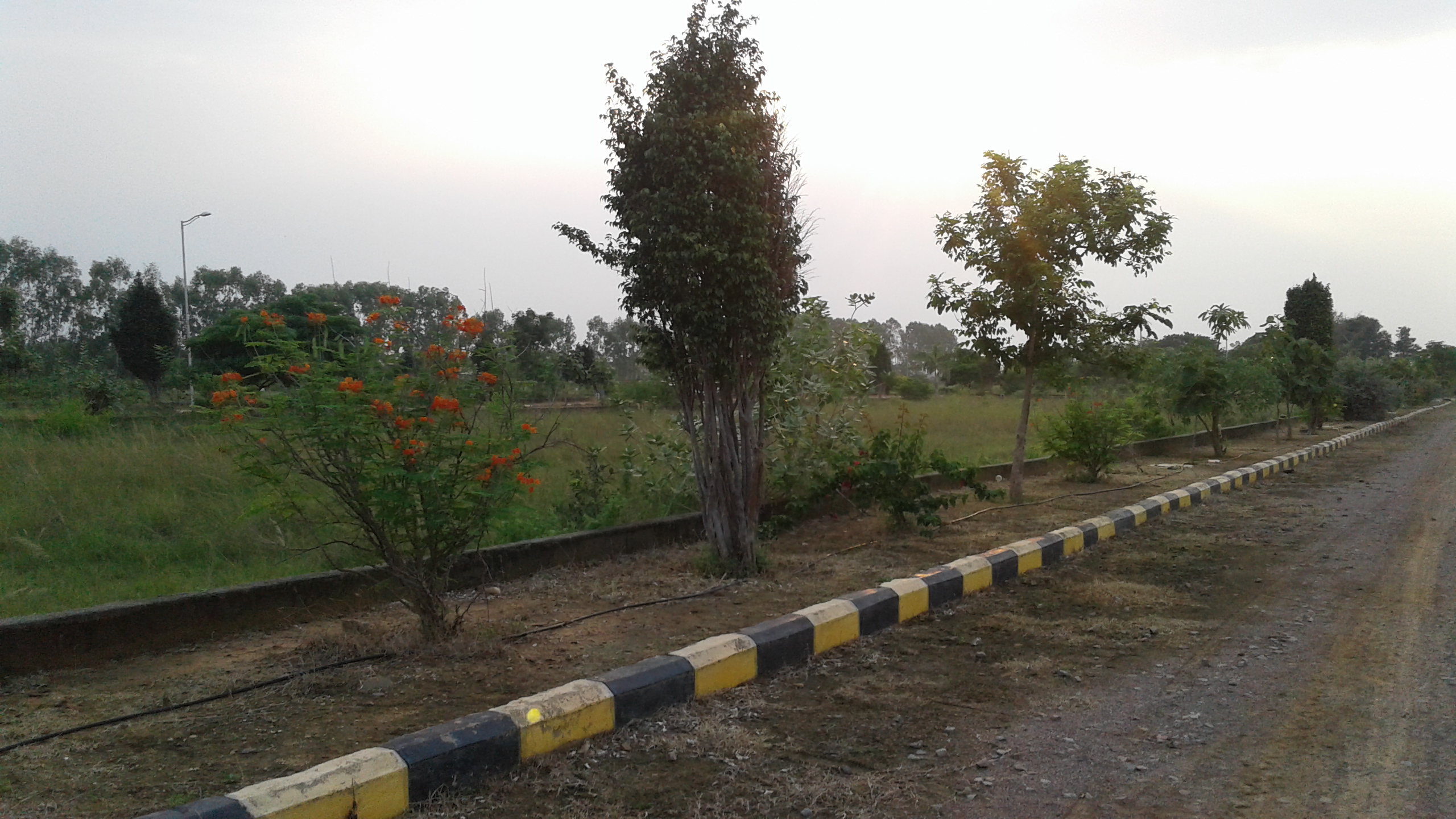 Kapil Homes Bhoopalpally Site Images