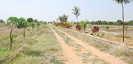 Kapil Homes Nedunur Sites Images