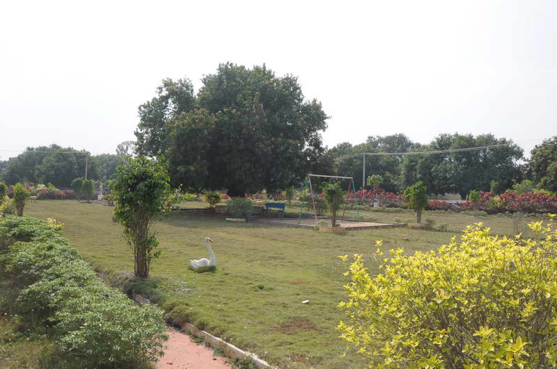 Kapil Homes Nuzvid Site