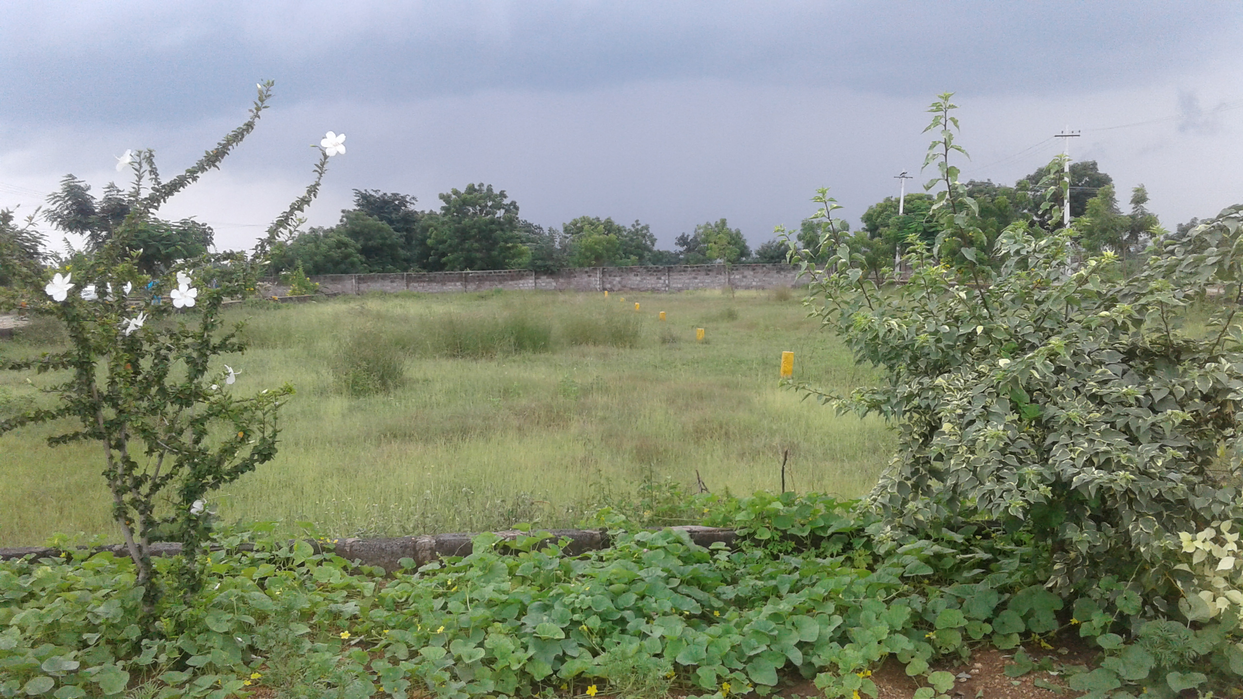 Kapil Homes Thorur Site Images