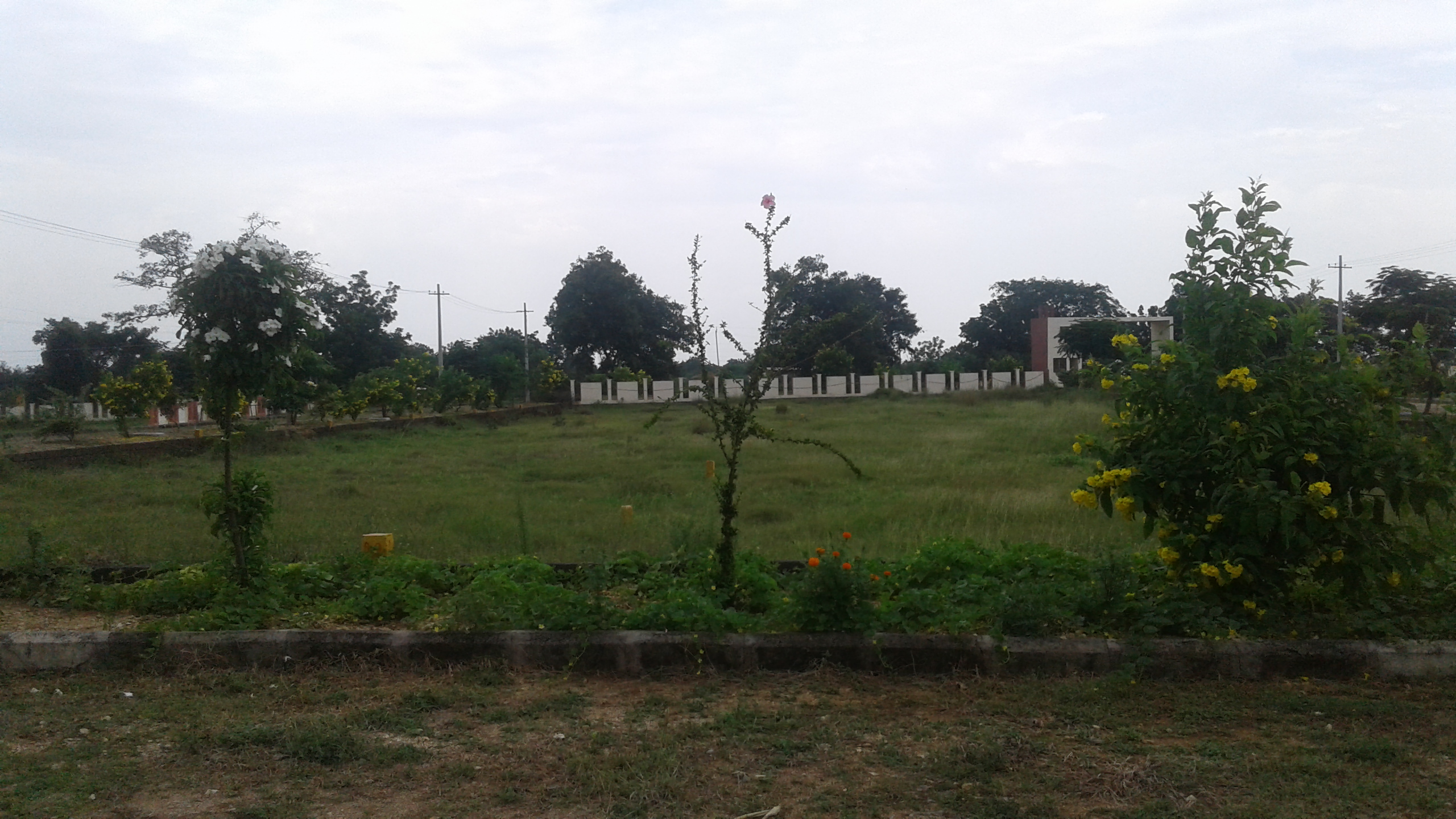 Kapil Homes Thorur Site Images
