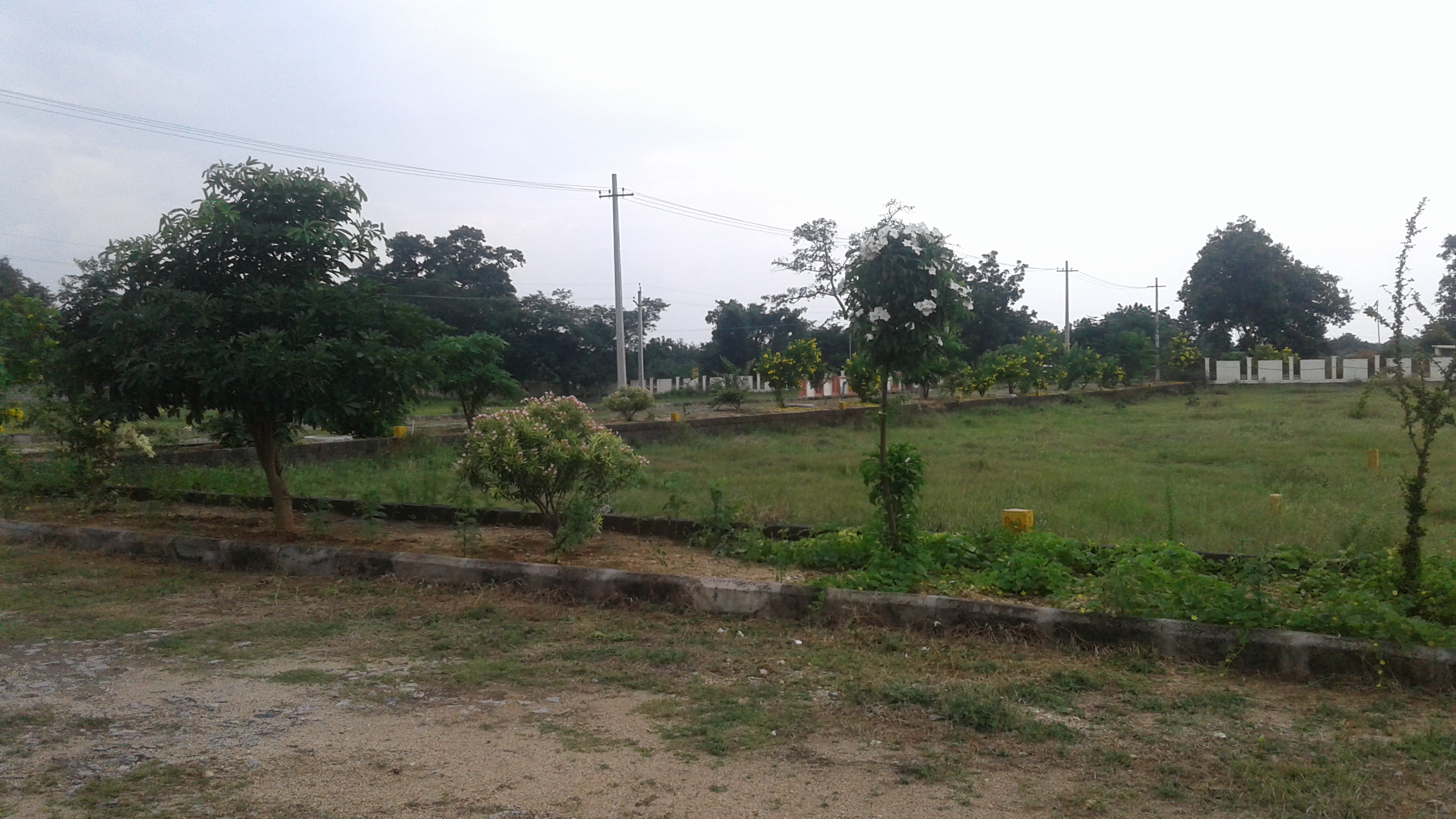 Kapil Homes Thorur Site Images