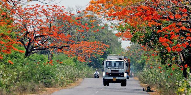 Kapil Homes Tiruvuru Site